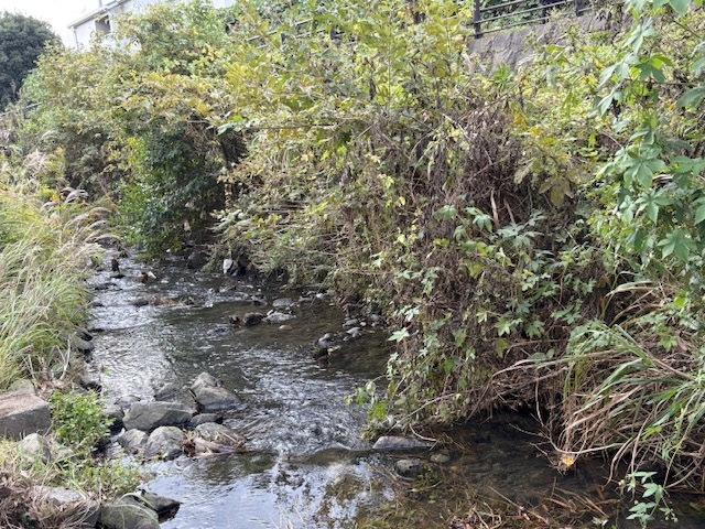 阿久和川の風景の画像